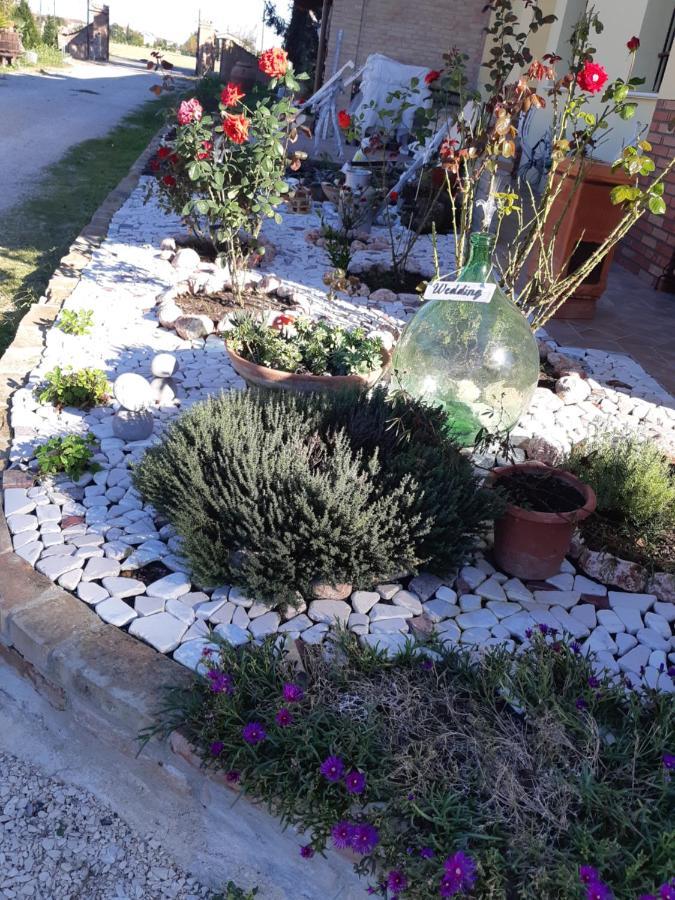 Il Focolare B&B Casa Ottani Εξωτερικό φωτογραφία