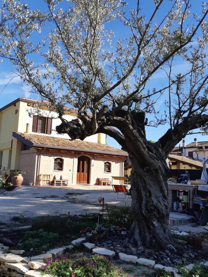Il Focolare B&B Casa Ottani Εξωτερικό φωτογραφία